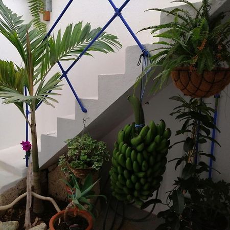 La Haciendita De La Casita Azul بويرتو ذي لا كروز المظهر الخارجي الصورة